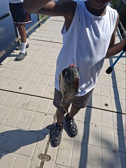 Fishing 101  2025